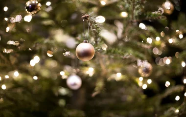 decorated Christmas tree