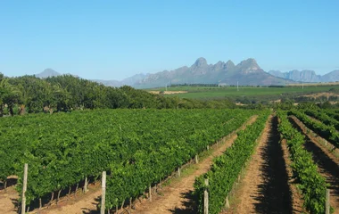 Stellenbosch en Afrique du Sud