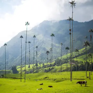 Holà Colombia