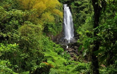 Cachoeira.