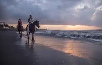 Casal passeando em cavalos na praia.