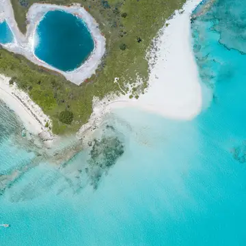 エクスカーション(オプショナルツアー)
