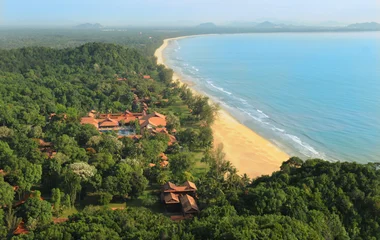 Beach jungle paradise