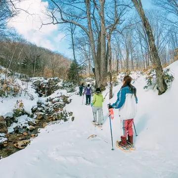 Hiking