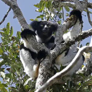 L'île rouge secrète
