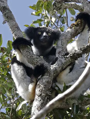 L'île rouge secrète