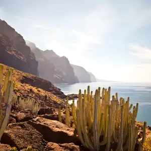 Die Kanaren von Insel zu Insel
