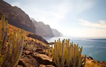 Les Canaries d'île en île