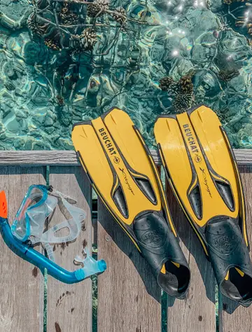 Snorkeling