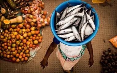Femme portant des poissons sur la tête au Cap-Vert