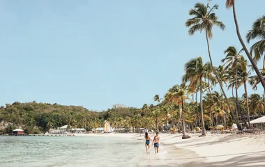 Oasis caribéen