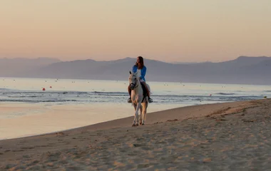 Animaux en Resort