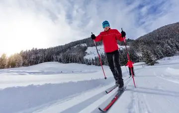 Cross country ski