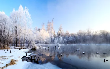 Um lago no meio de uma floresta de neve.
