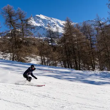 Ski