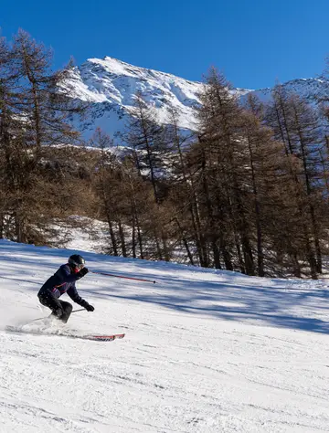 Ski
