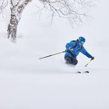 Alpine ski lessons