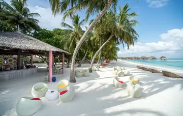 レストラン & バー