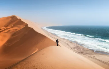 Côte Atlantique : otaries et dunes spectaculaires de Sandwich Harbour