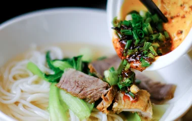 The Noodle Bar