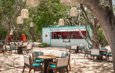 Mangrove Bar