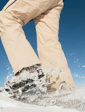 Snowshoes