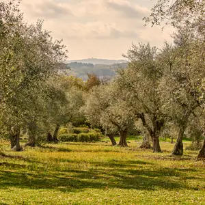 Provence Frankrijk