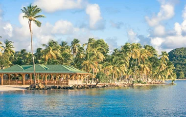 Spiaggia di sabbia bianca e mare turchese con palme a Martinica, isola caraibica delle Antille francesi