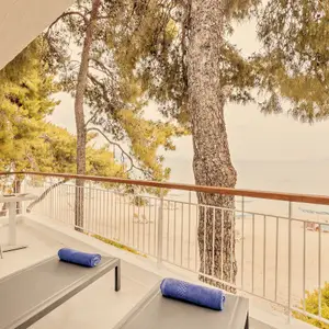 Deluxe Room - Sea View, Pine Grove