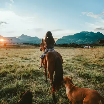 Horseback Riding