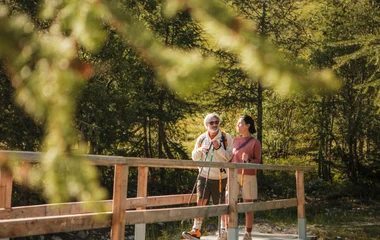 senior slow travel summer