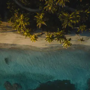 Aventura caribeña