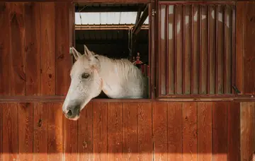 Horseriding