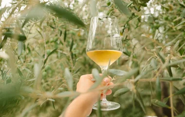 Dégustation authentique de vins fortifiés à Marsala