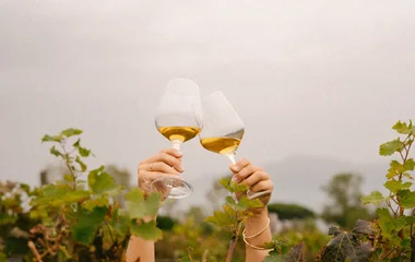 Dégustation de vin du Vésuve* dans un domaine familial