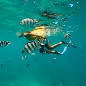 luxe all inclusive vakantie mauritius