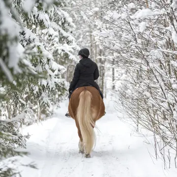 Horseback Riding