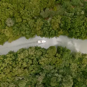 Natura verde