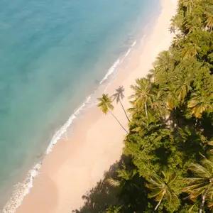 Voyage en Martinique : partez pour des vacances inoubliables
