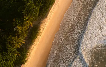 Nature guyanaise et caribéenne