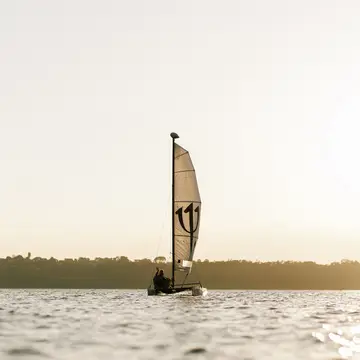 Vela