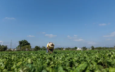 Agricultor en un campo.