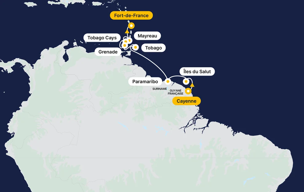 Regenwoud & Grenadines