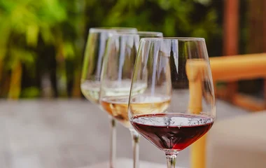 Meknès : dégustation° de vin dans une propriété