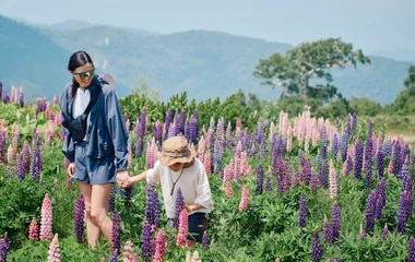 otaru, spring, flowers, hokkaido, club med