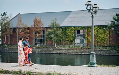 spring festival, hokkaido, cherry blossom