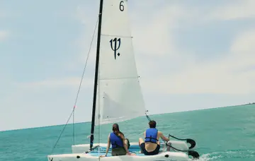 Vela
