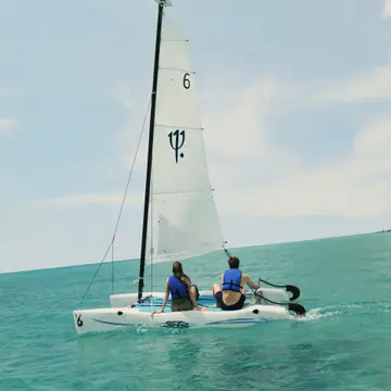 Vela
