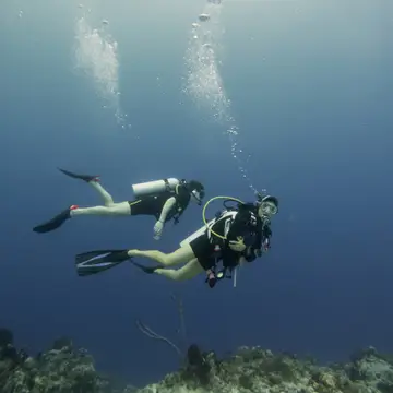Scuba diving