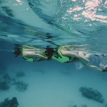 Snorkeling
